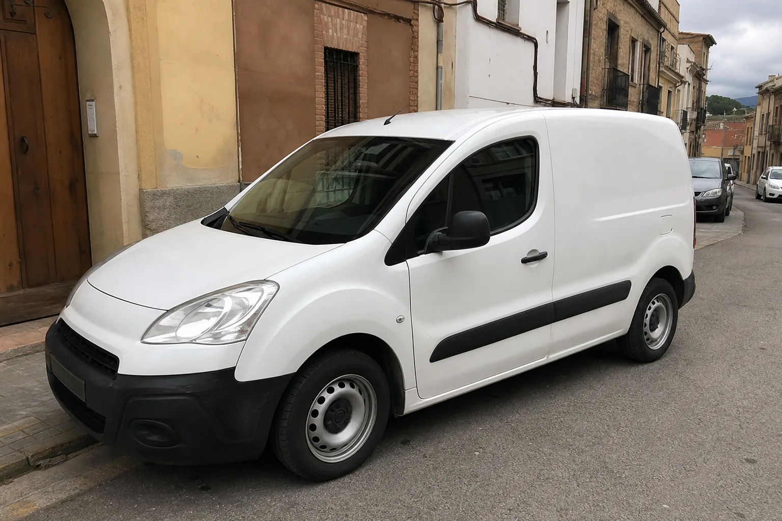 Furgoneta de RipolPlagas, empresa de control de plagas en Ripollet