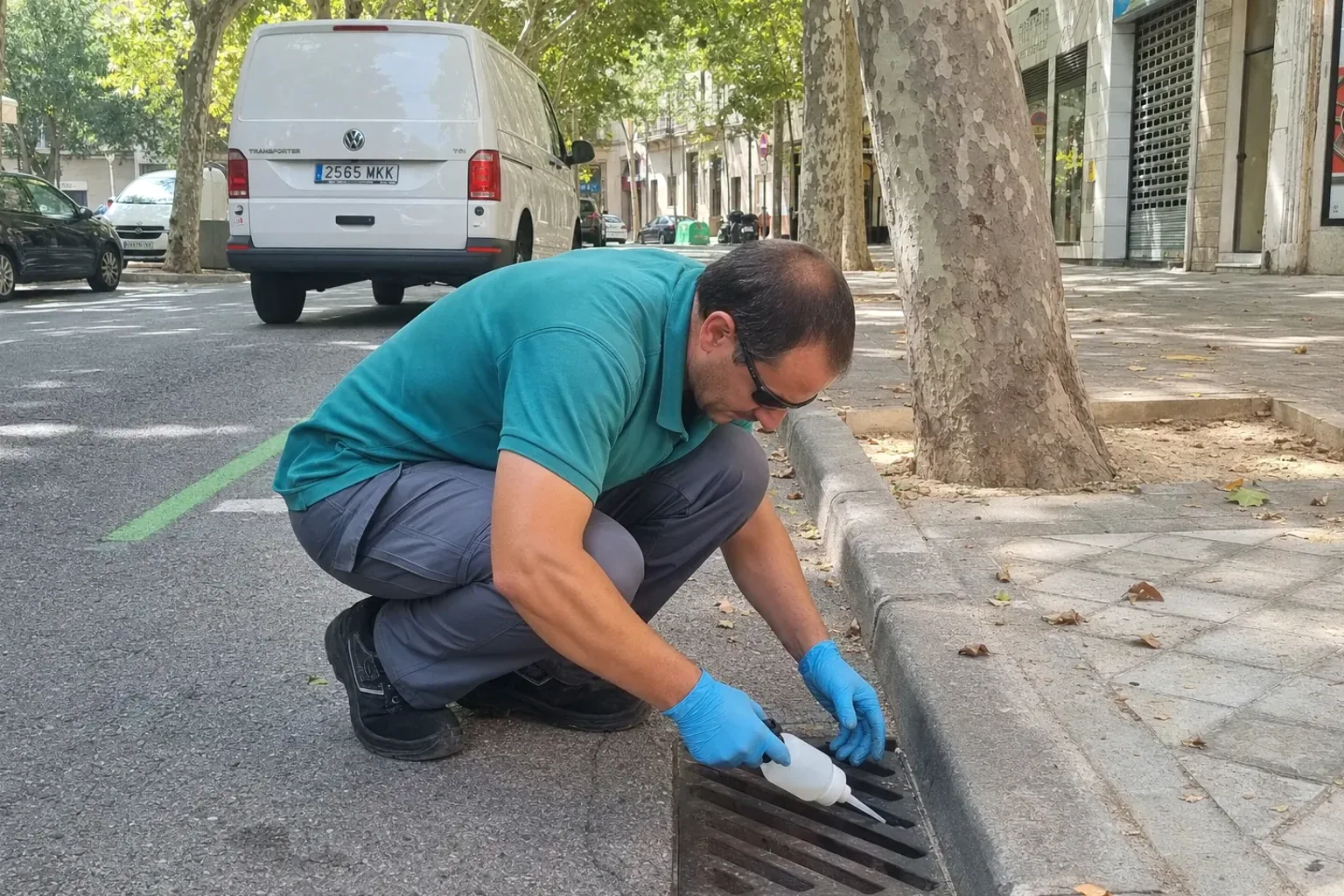 Control del mosquito tigre en Ripollet — RipolPlagas