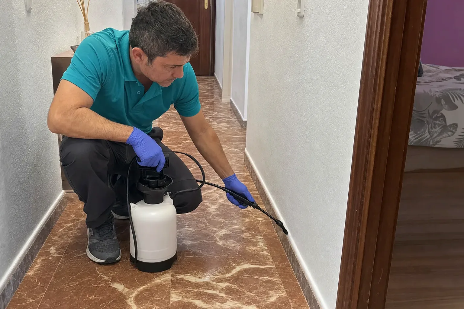 Desinsectación en Ripollet: tratamiento profesional contra insectos